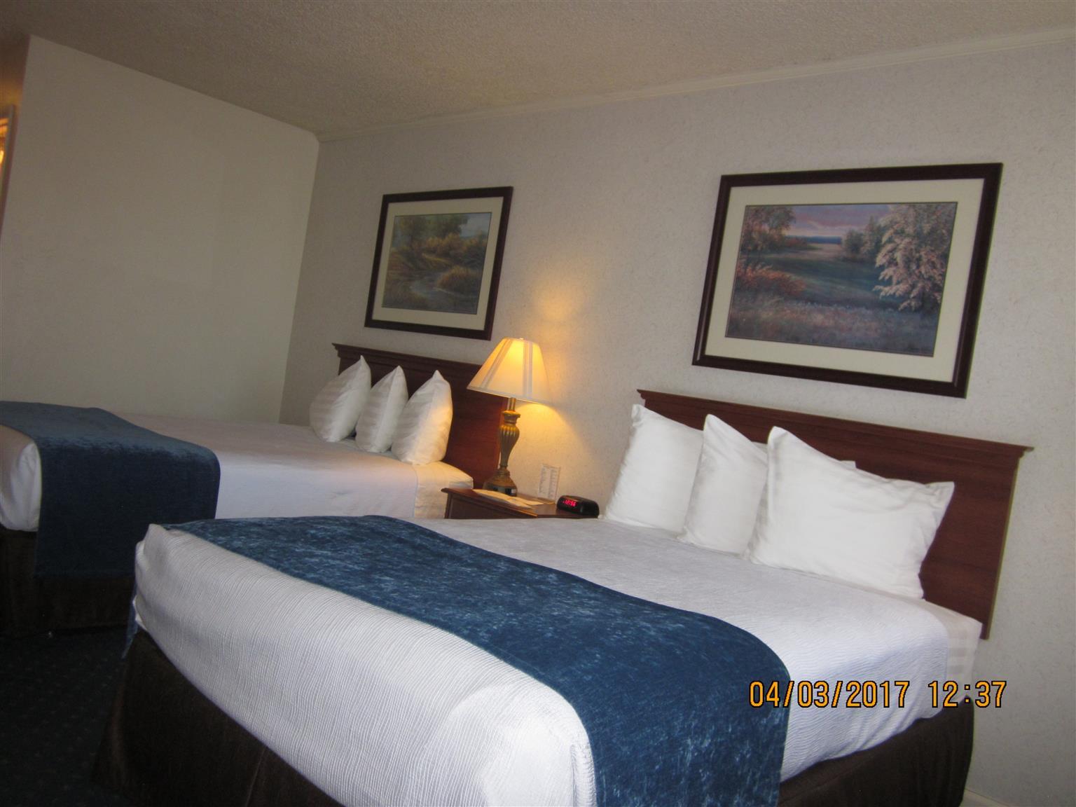Trailside Inn Alturas Bagian luar foto